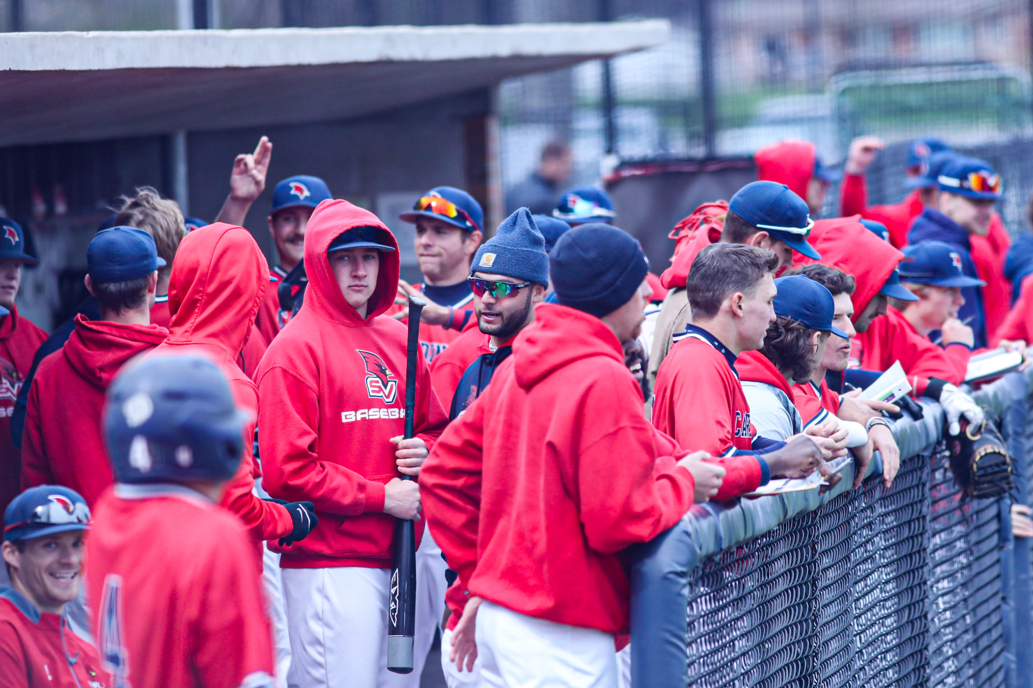 Cardinals Fall in Final Home Game of the Season