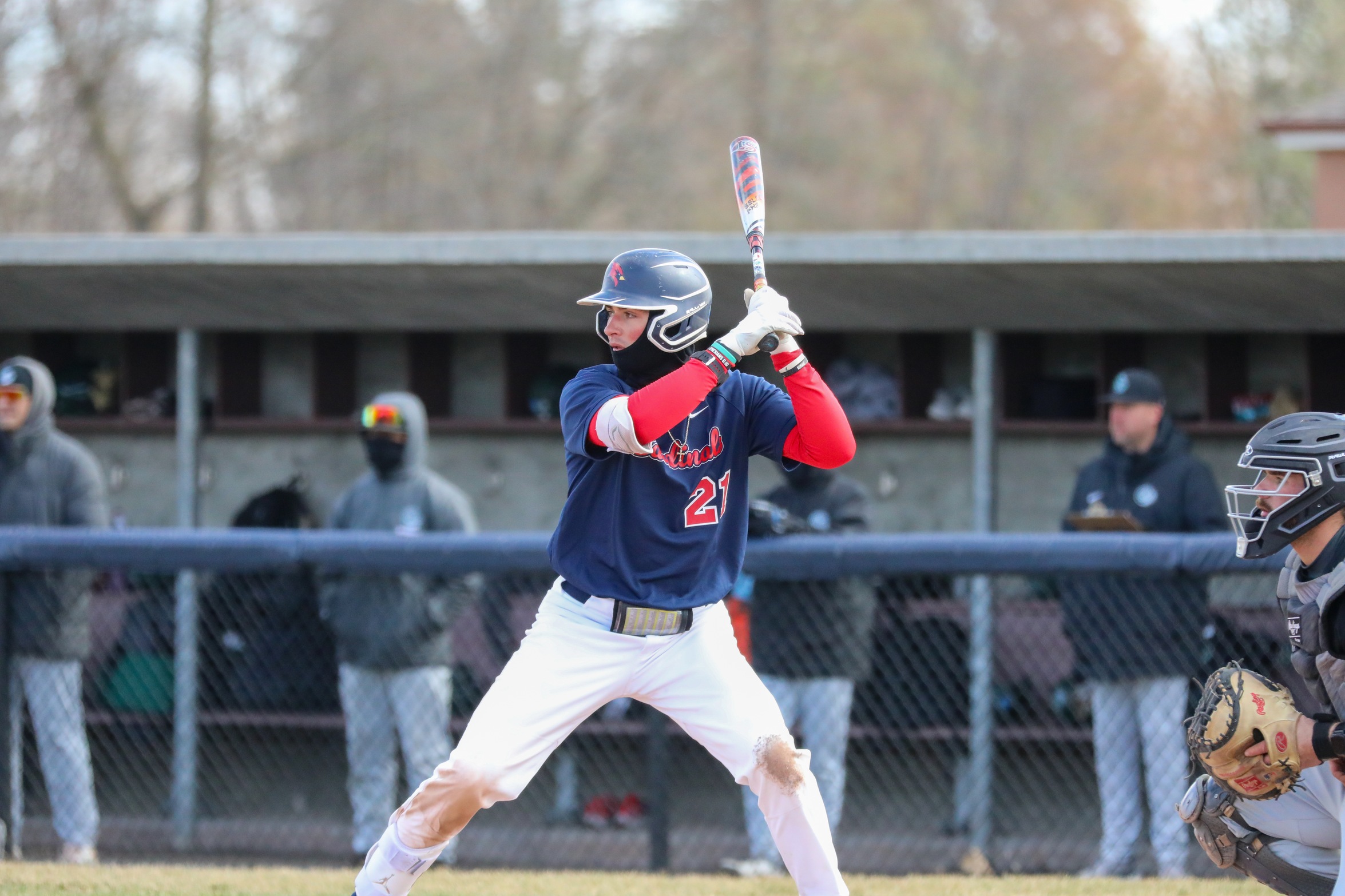 Cardinals Sweep William Jewell and Extend Win Streak to Seven