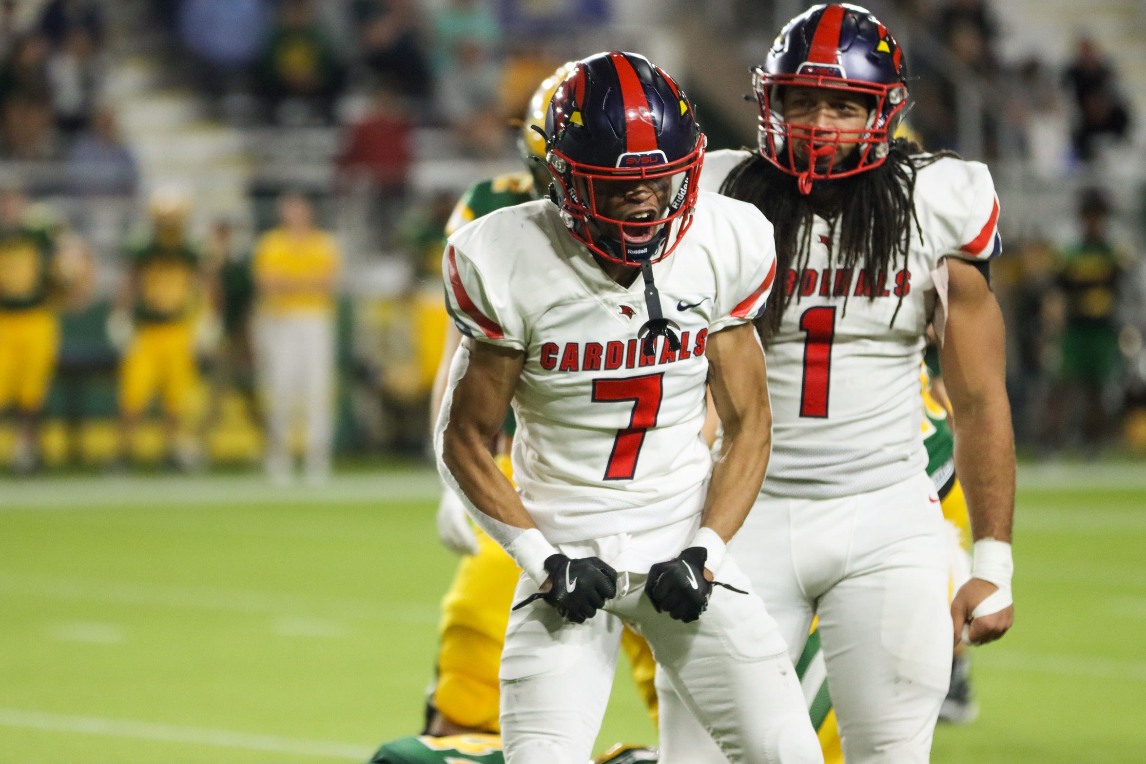 Cardinals Travel to Chicago to Face GLIAC Newcomer Roosevelt on Saturday