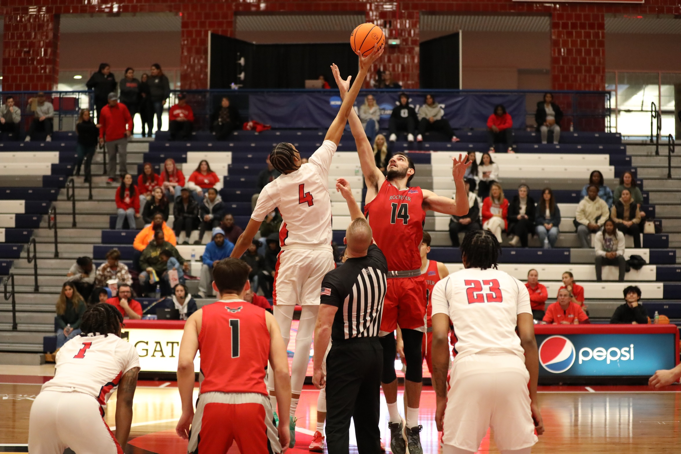 Cardinals Outpaced at Hillsdale