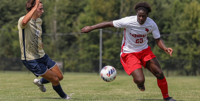 Monney named Region POTY, Cardinals with four D2CCA Selections