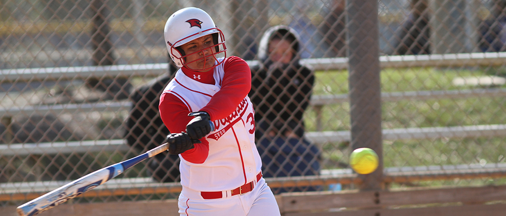 SVSU Winning Streak Snapped with Losses at Ohio Dominican
