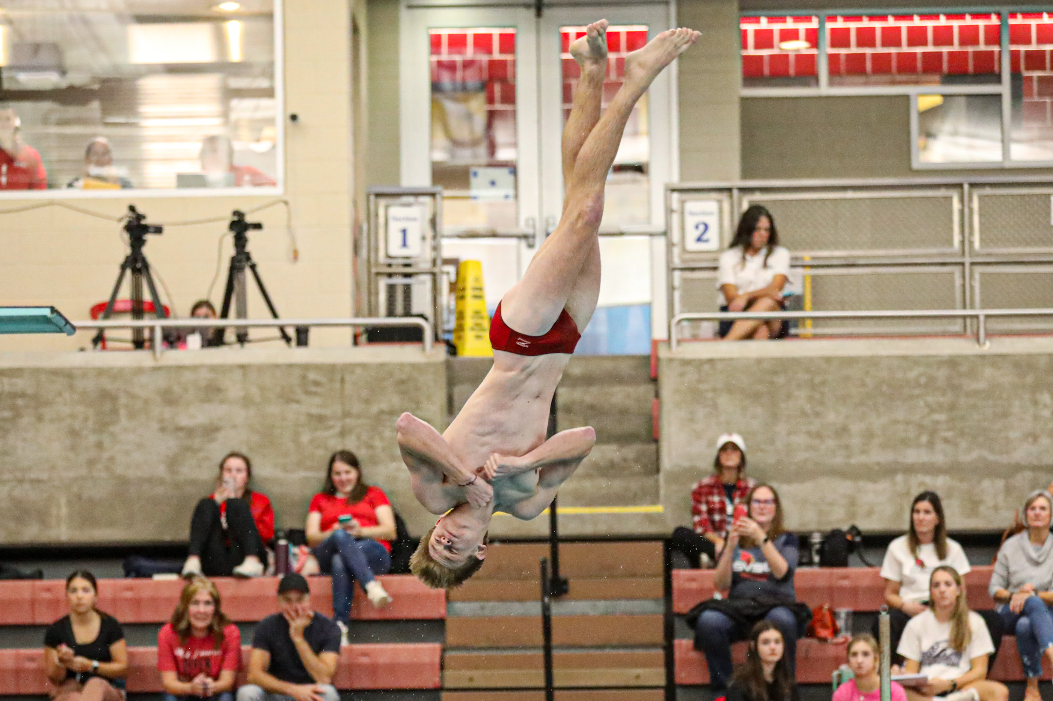 Cardinal Swim & Dive Splits Against Wayne State