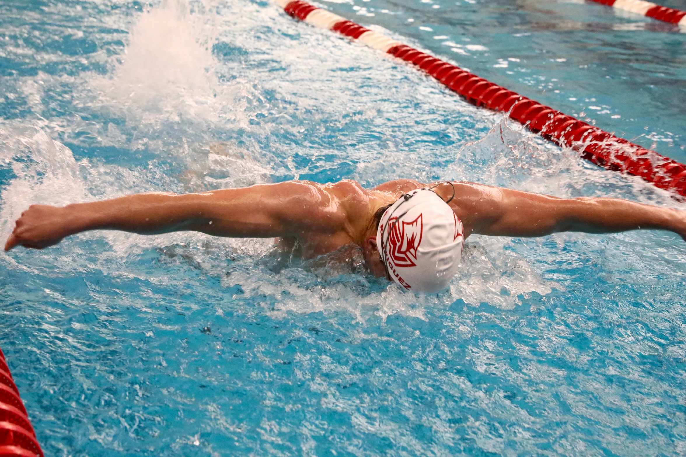 Cardinal Swim & Dive Falls in Tri-Meet to Northern Michigan and Grand Valley