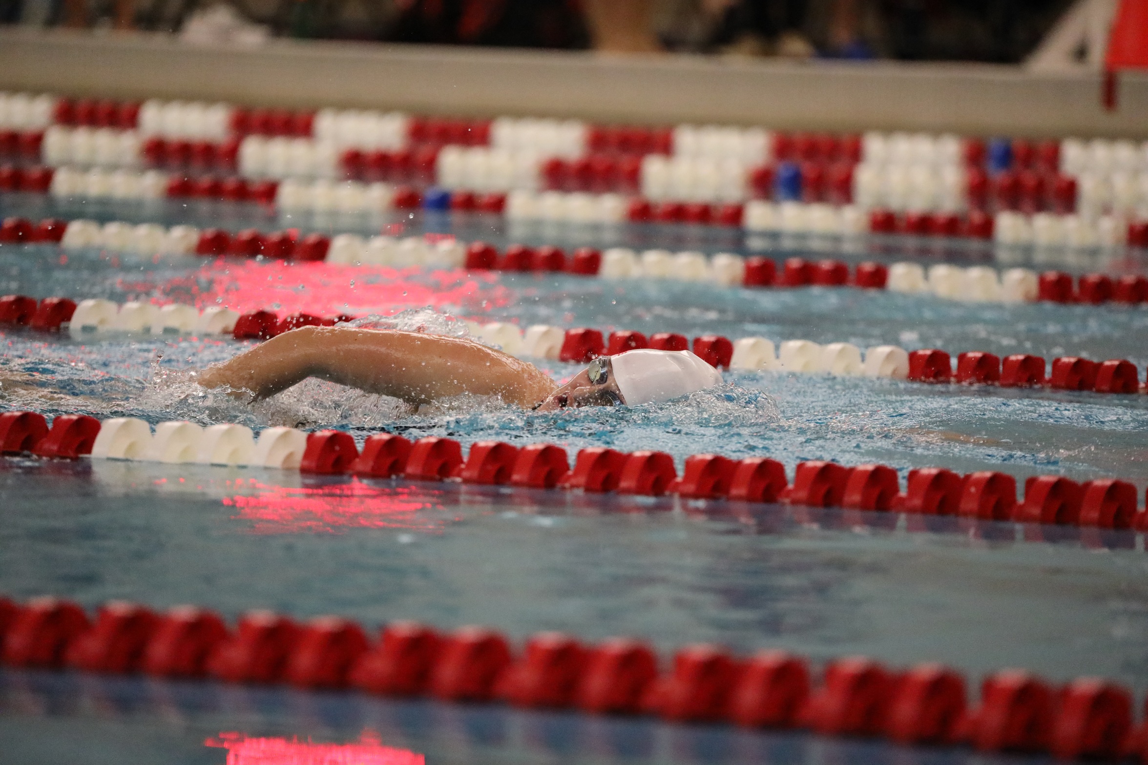 Swim & Dive Splits Tri-Meet as Women&rsquo;s Team Upsets Findlay