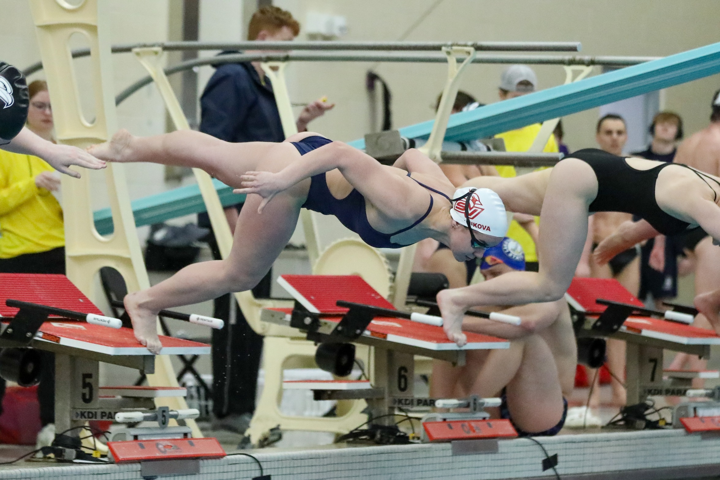 Cardinal Swim & Dive Falls in Close Battle to Davenport