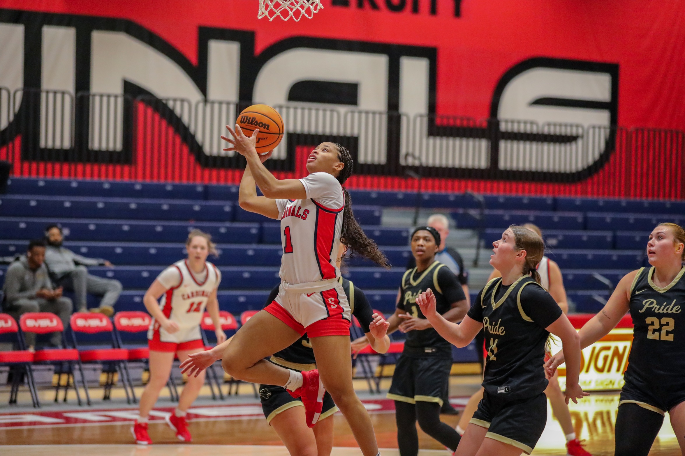 Women&rsquo;s Basketball Drops Heartbreaker to Wayne State
