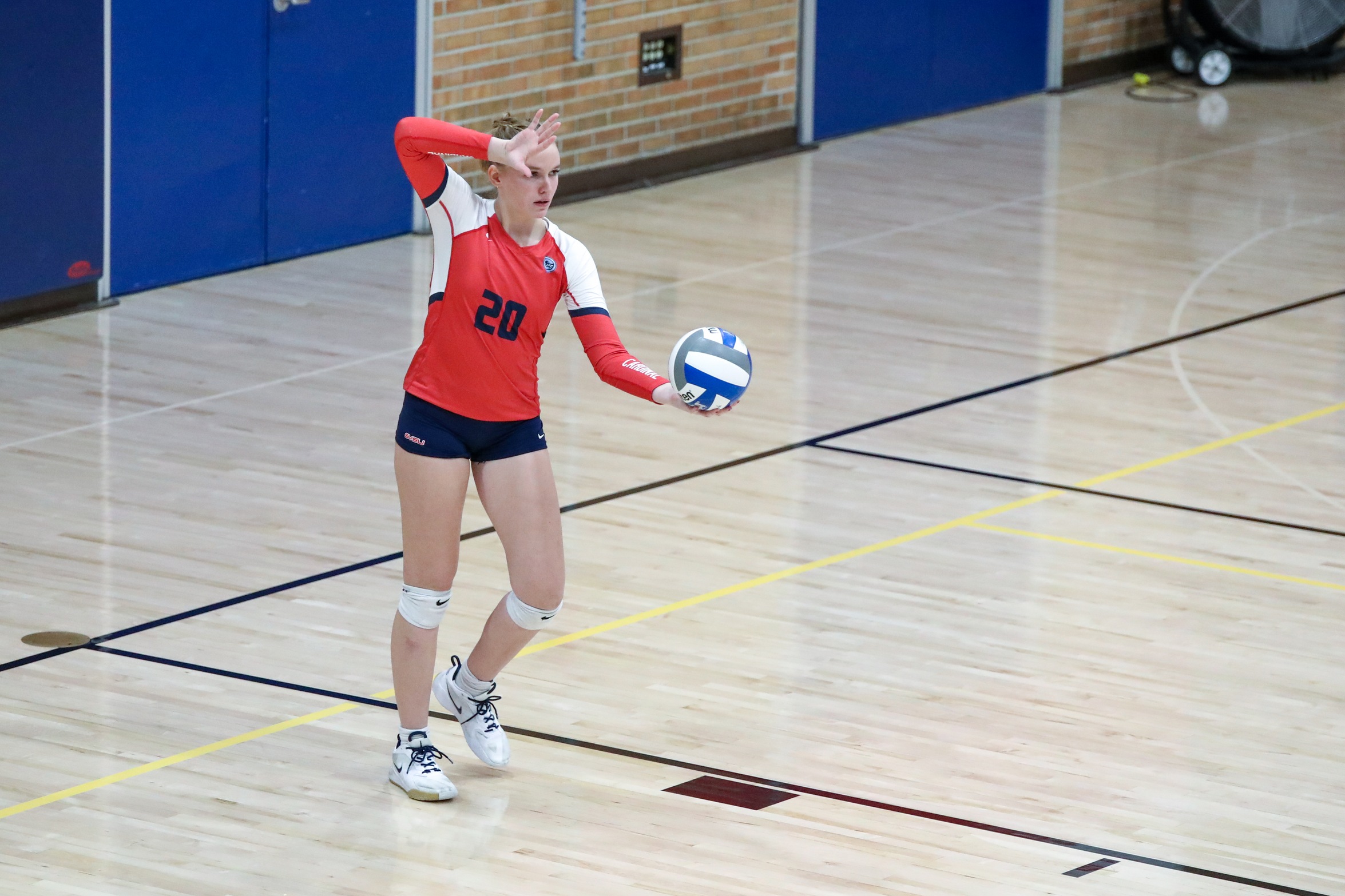Volleyball Splits Opening Day at Walsh Invitational