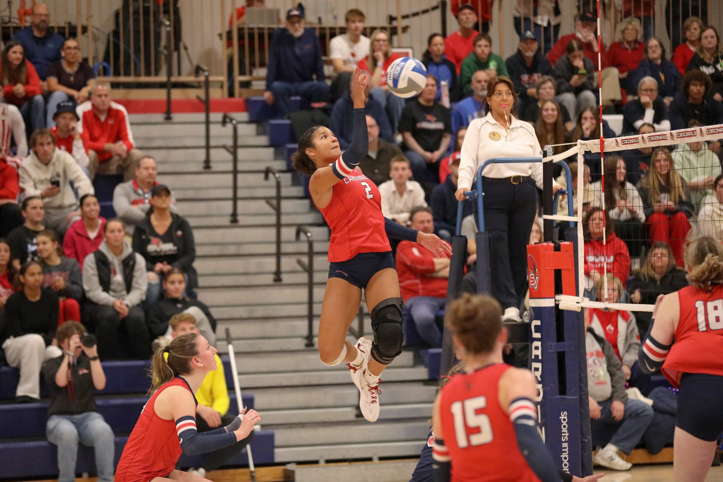 Volleyball Slips in Close Match Against Michigan Tech